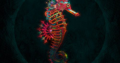 Seahorse